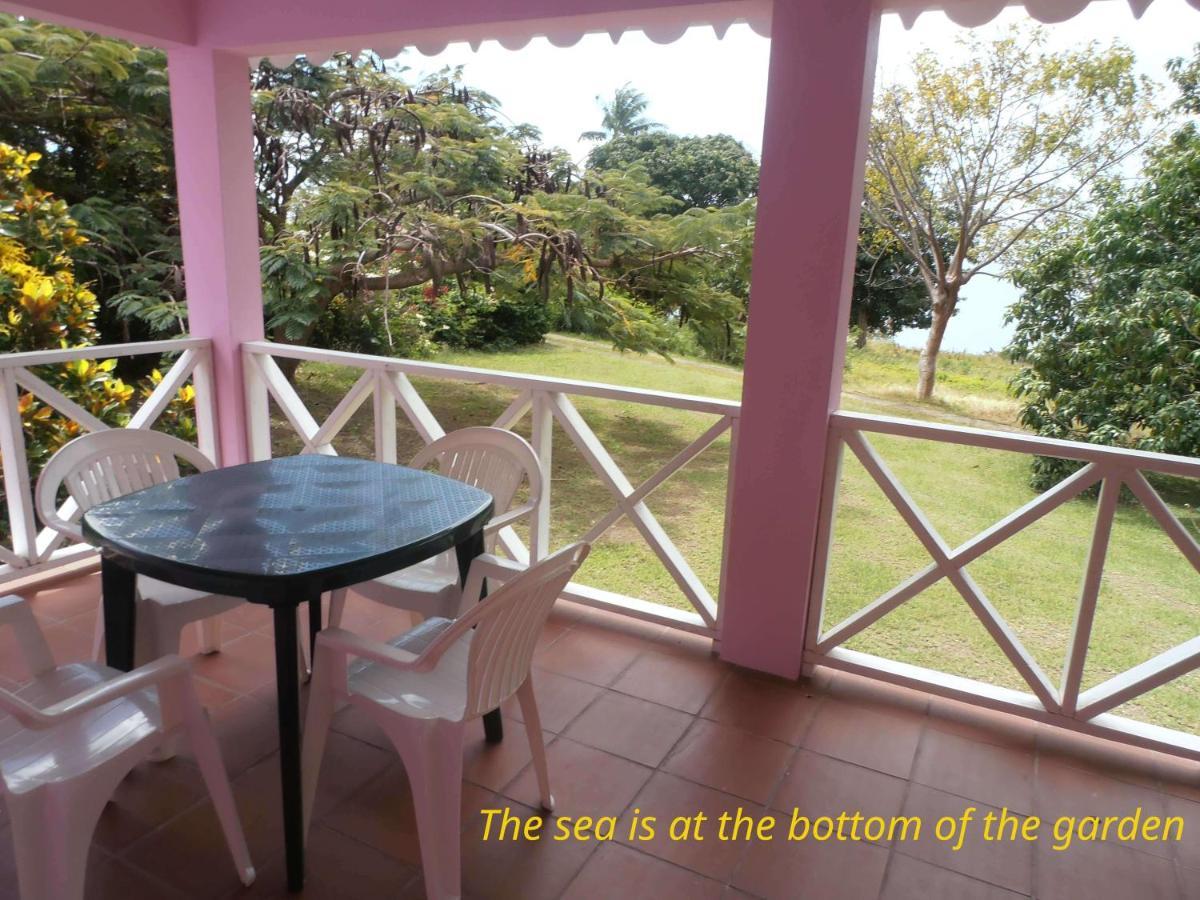 Villa The Pink House à Choiseul Extérieur photo