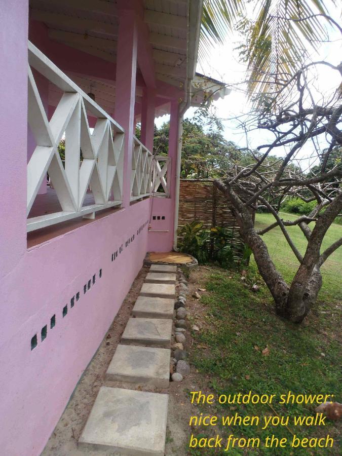 Villa The Pink House à Choiseul Extérieur photo